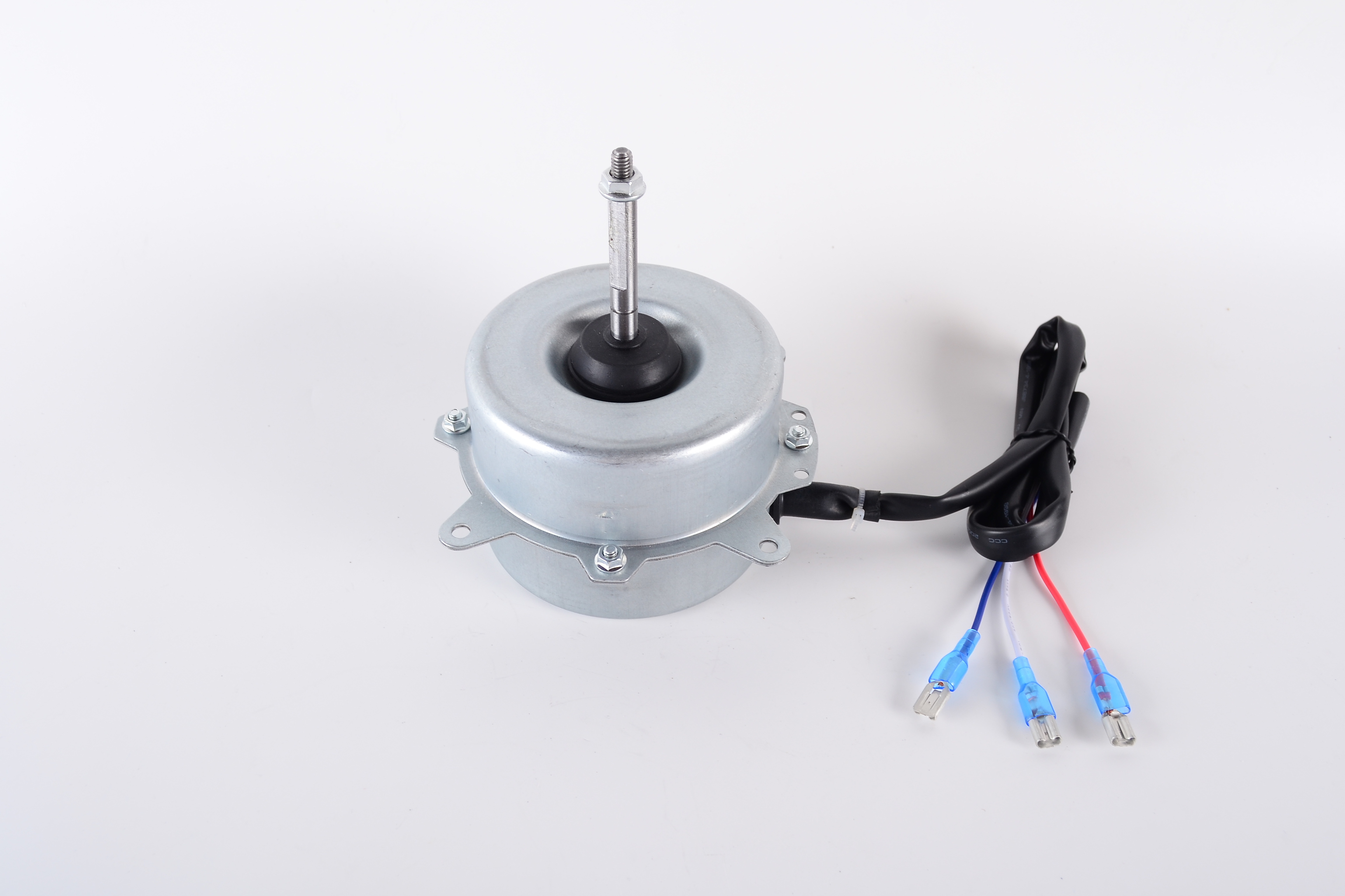 Motor - B01110095